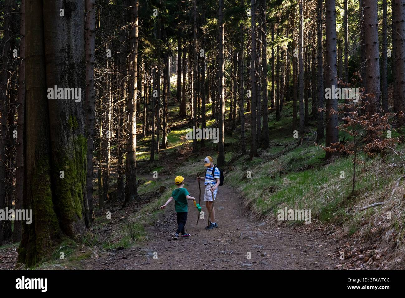 Zwei Jungen, die auf einem ruhigen Waldweg während eines Familienwanderabenteuers zwischen hohen Bäumen reden. Konzept von Geschwisterkommunikation, Bindung, gemeinsamer Erfahrung Stockfoto