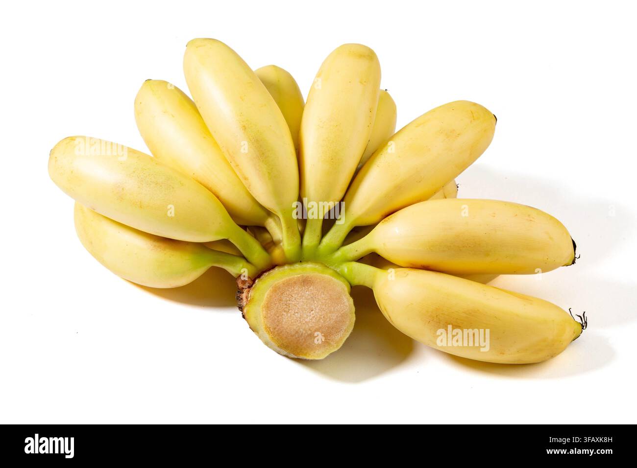 Ganze Menge reifer gelber Bananen Stockfoto