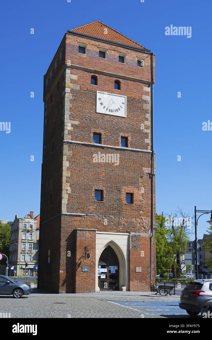 Quadratischer Backstein-Wachturm mit Uhr und blauem Himmel, umgeben von anderen Gebäuden, Glogauer Torturm, Legnica, Liegnitz, Woiwodschaft Niederschlesien, Polen Stockfoto