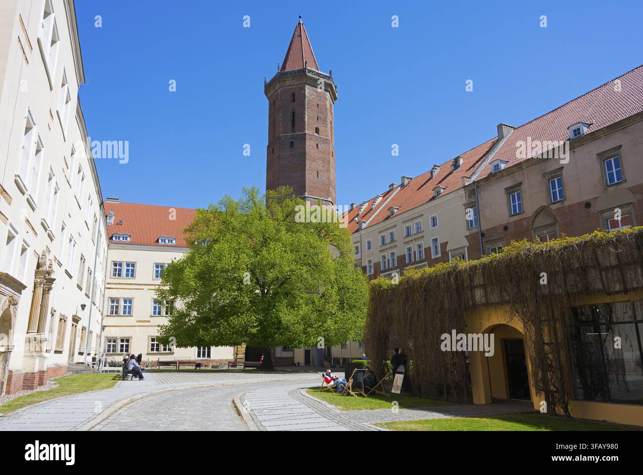 Historischer Innenhof mit großem Baum und rotem Backsteinturm unter einem klaren blauen Himmel, Piast-Schloss, Legnica, Legnica, Woiwodschaft Niederschlesien, Polen Stockfoto