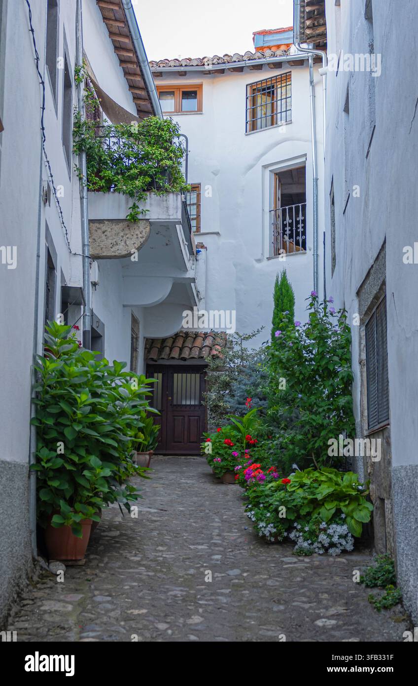 Eine wunderschöne Sackgasse, geschmückt mit grünen Blumentöpfen und weiß verkleideten Häusern im Dorf Candelario, Spanien Stockfoto