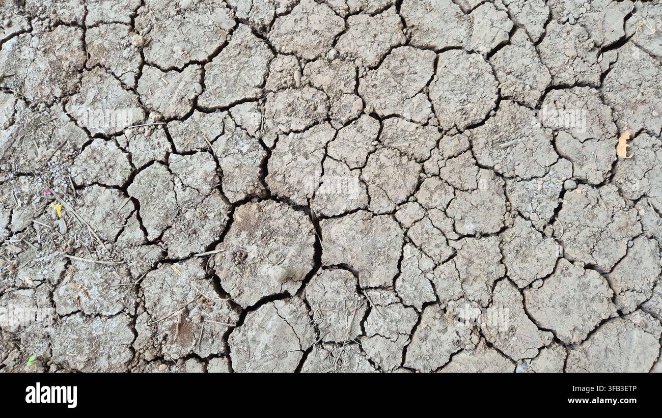 Rissiges Trockenbodenmuster, entstanden aufgrund von Dürre und globaler Erwärmung - Smartphone-aufgenommenes Stockfoto