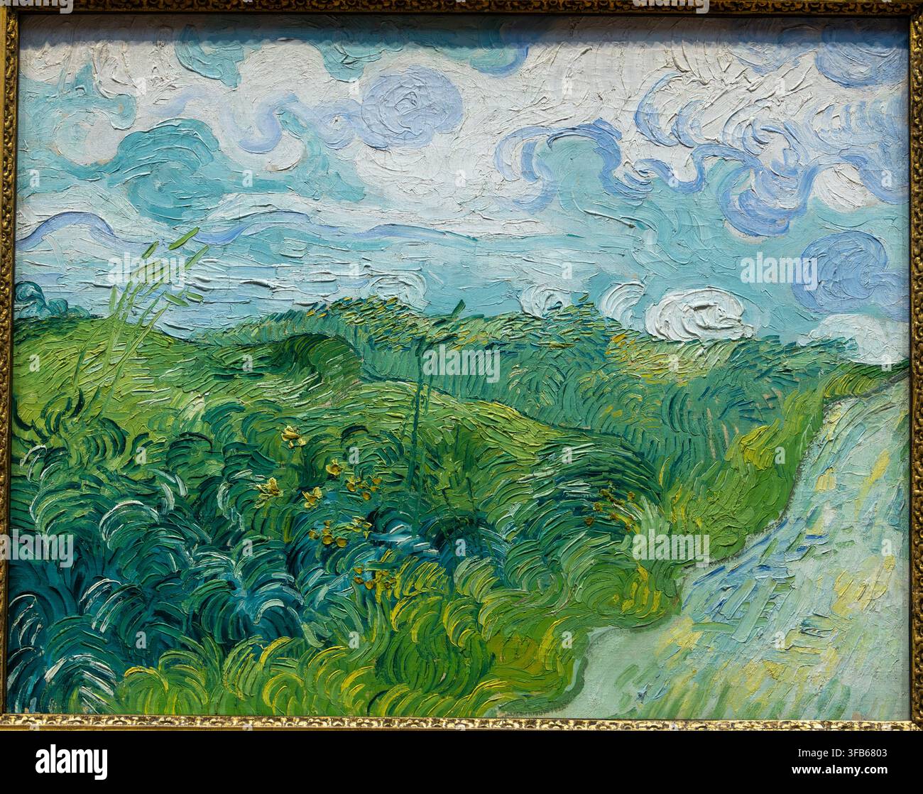 Grüne Weizenfelder, Auvers, 1890, Vincent van Gogh, National Gallery of Art, Washington DC, USA Stockfoto