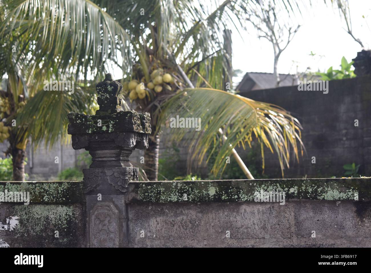 Traditionelle balinesische Steintempelmauer und Torornament mit einer tropischen Kokospalme in einem lokalen Dorfgarten. Stockfoto