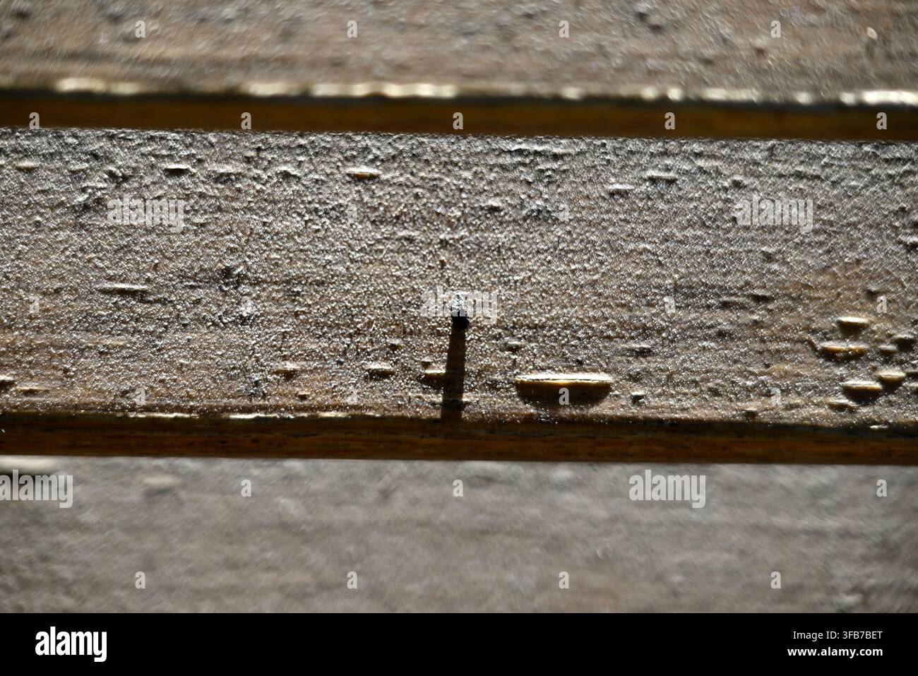 Textur von Holzschaufeln. Licht und Schatten bilden Schaufeln auf einer Holztür. Stockfoto