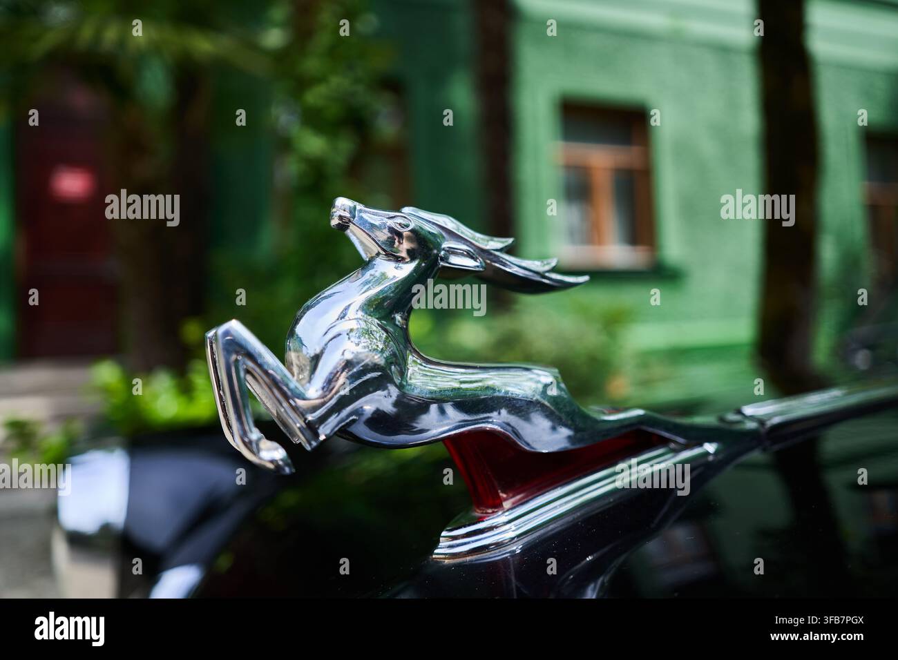 SOCHY, KRASNODAR-GEBIET, RUSSLAND, 15. JUNI 2026. Nahaufnahme des ikonischen Chrom-Reh-Kappenornaments auf einem klassischen sowjetischen GAZ 21 Volga-Automobil. Stockfoto