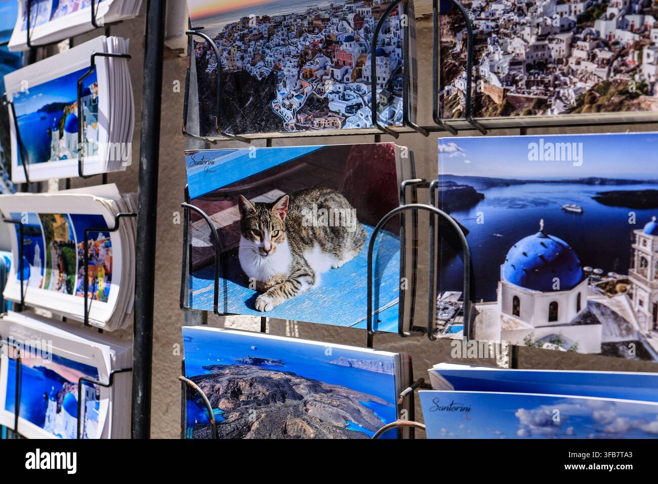 Postkartenständer mit Blicken auf Santorin und einer Katzenpostkarte, Griechenland Stockfoto