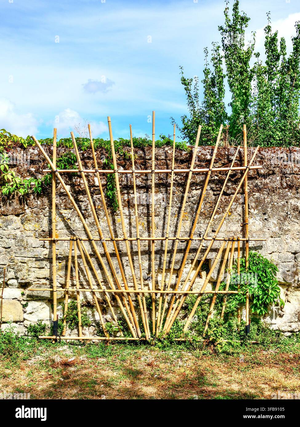 Handgefertigte Bambus-Spalierstütze für Kletterpflanzen - Beaulieu-lès-Loches, Indre-et-Loire (37), Frankreich. Stockfoto
