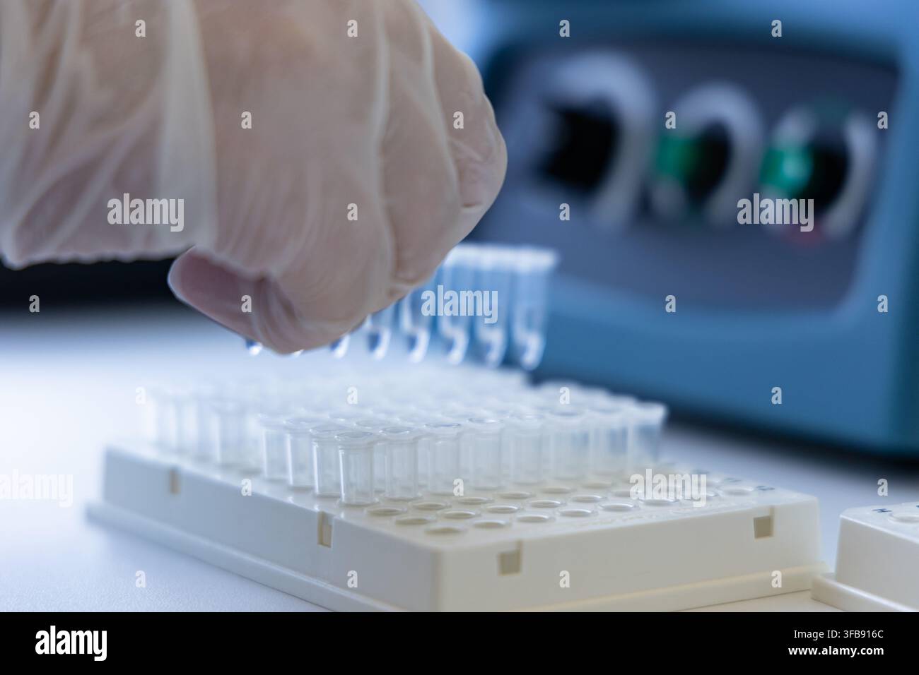 Labortechniker bearbeitet Reagenzgläser für medizinische Analysen Stockfoto