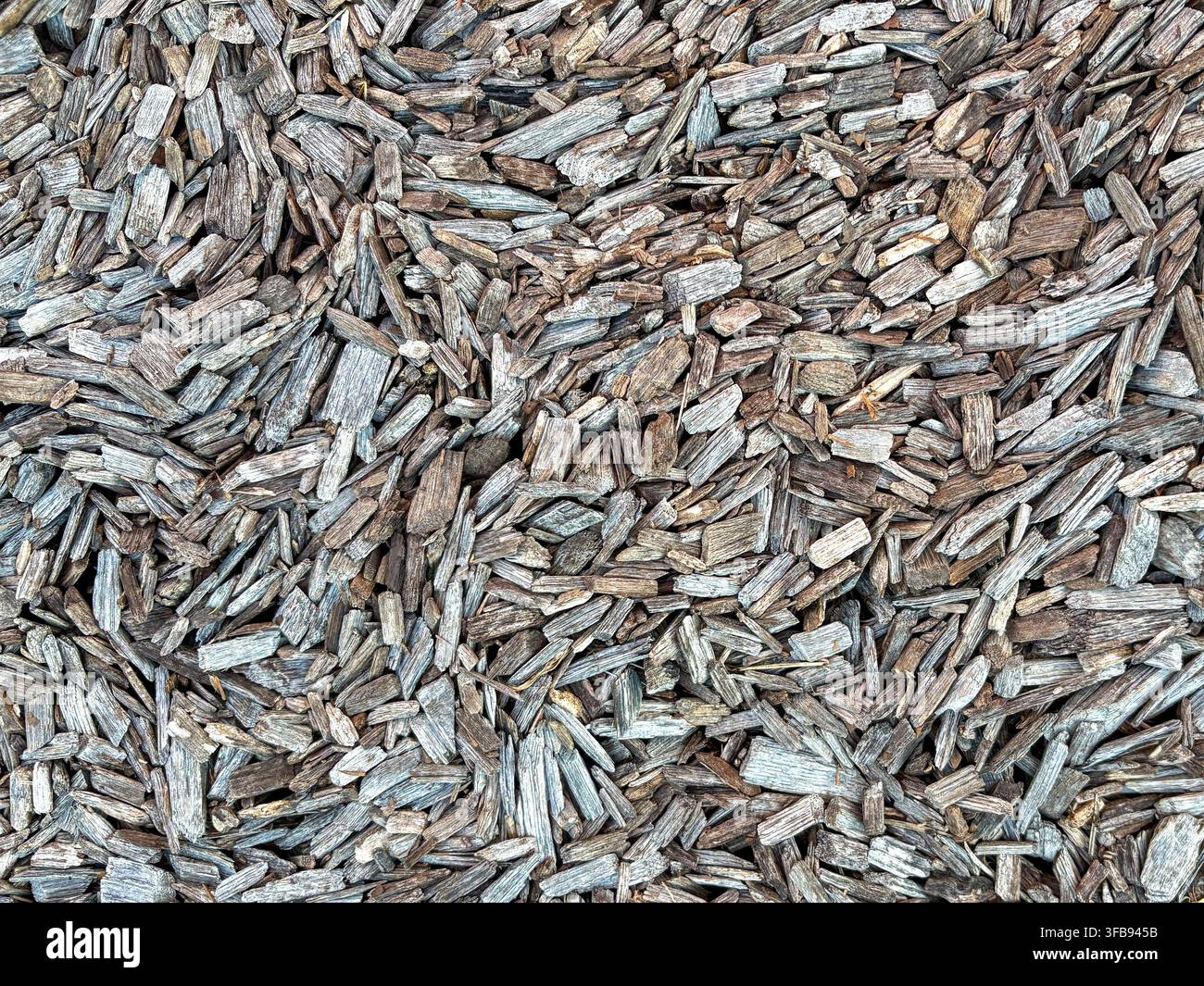 Vollformat-Nahaufnahme von überlappenden verwitterten Holzspänen, die eine unregelmäßige natürliche Mulchtextur und einen abstrakten Hintergrund bilden. Stockfoto
