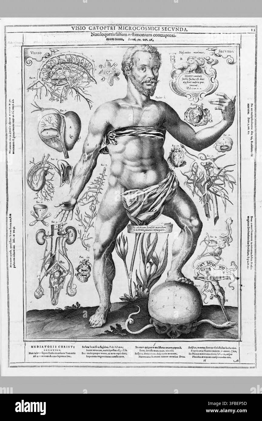 Eine detaillierte anatomische Darstellung des menschlichen Körpers aus dem Jahr 1619 mit lateinischem Text, der auf das Buch Exodus verweist, in einem Druck aus dem 17. Jahrhundert. Stockfoto