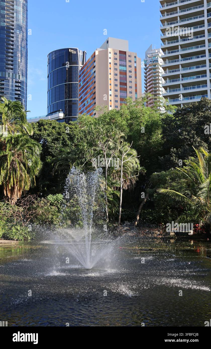 Wasserbrunnen sprüht in einem üppigen grünen Teich im City Botanic Gardens mit Hochhaus-Skyline von Brisbane im Hintergrund Stockfoto