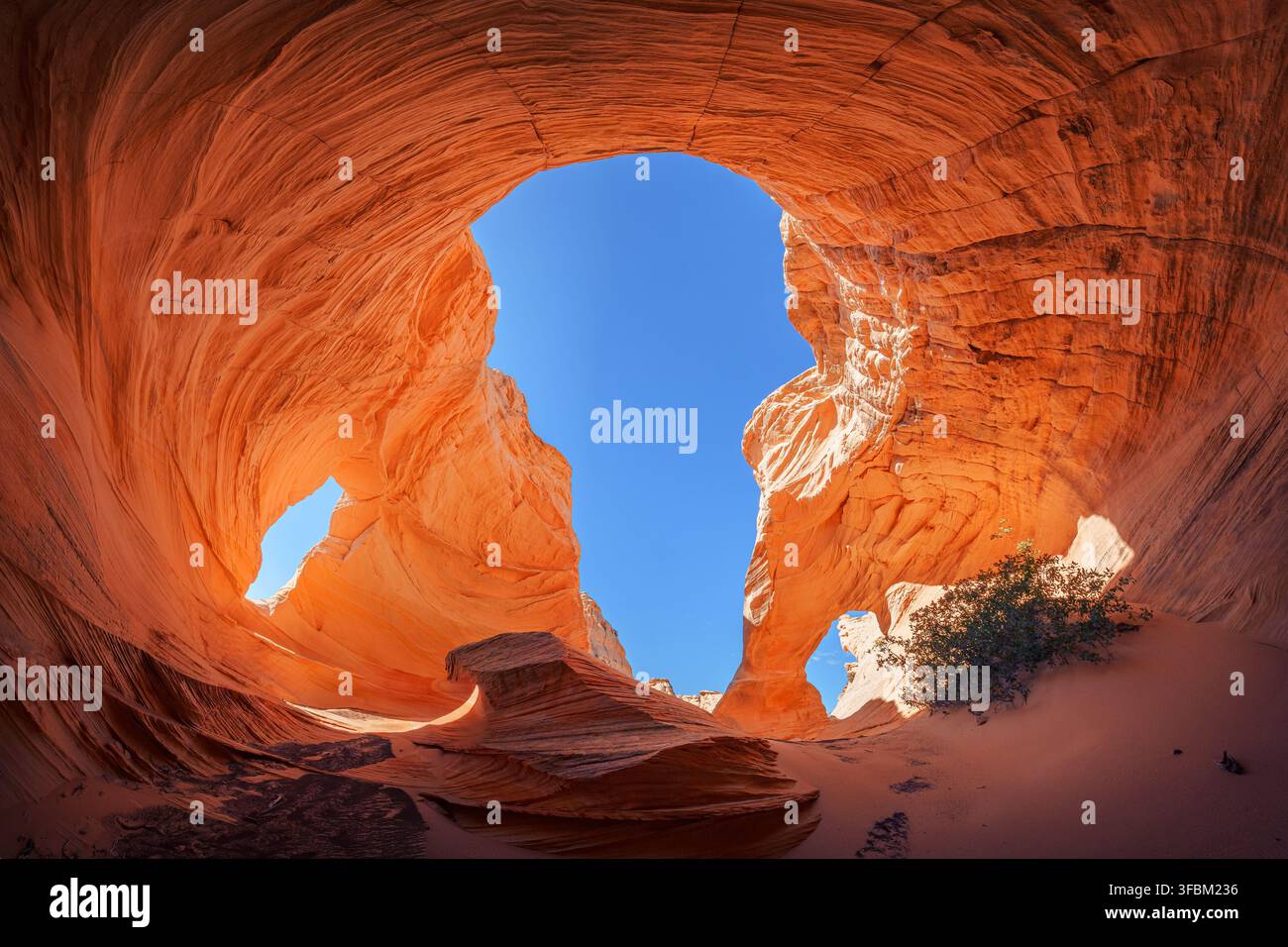 Ansicht der ikonischen Sandsteinformationen von The Wave mit wirbelnden orangefarbenen Mustern und einem klaren blauen Himmel in Kanab, Arizona, Vereinigte Staaten. Stockfoto