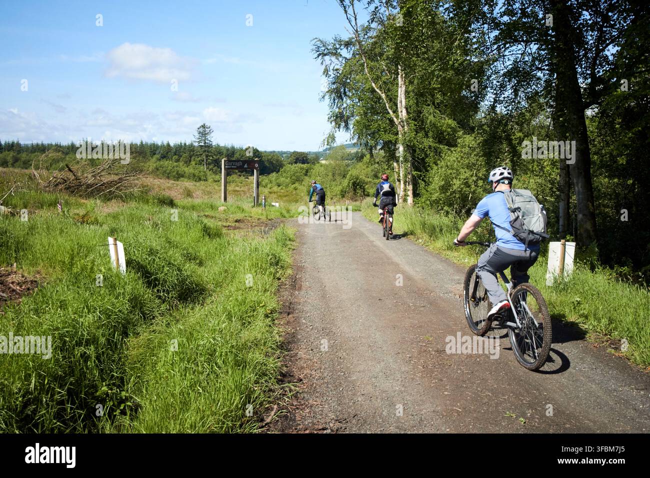 Mountainbiker auf den Radwegen des Garvagh Forest Park in Nordirland, UK Stockfoto