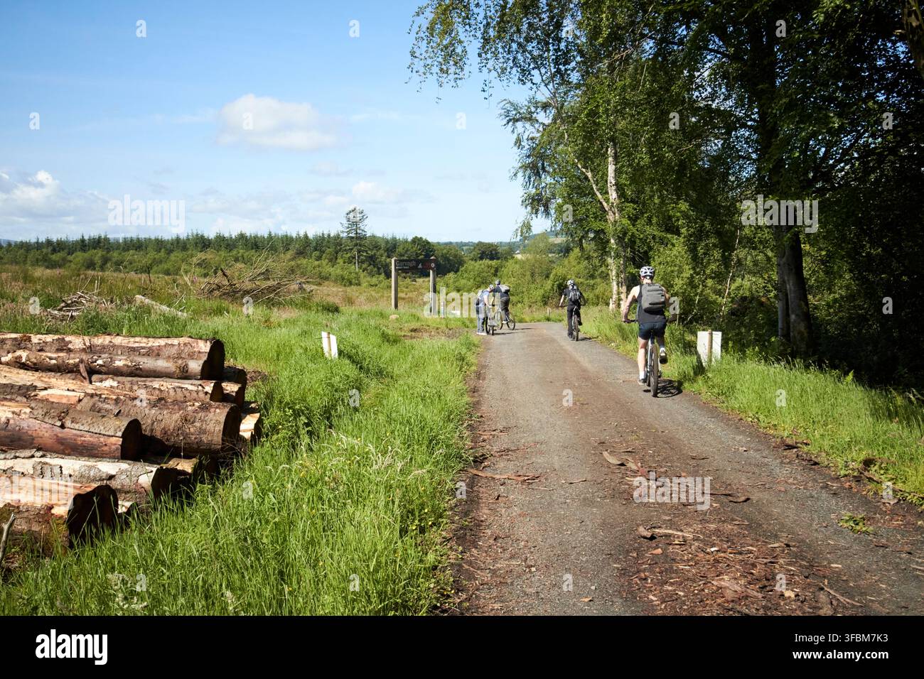 Mountainbiker auf den Radwegen des Garvagh Forest Park in Nordirland, UK Stockfoto