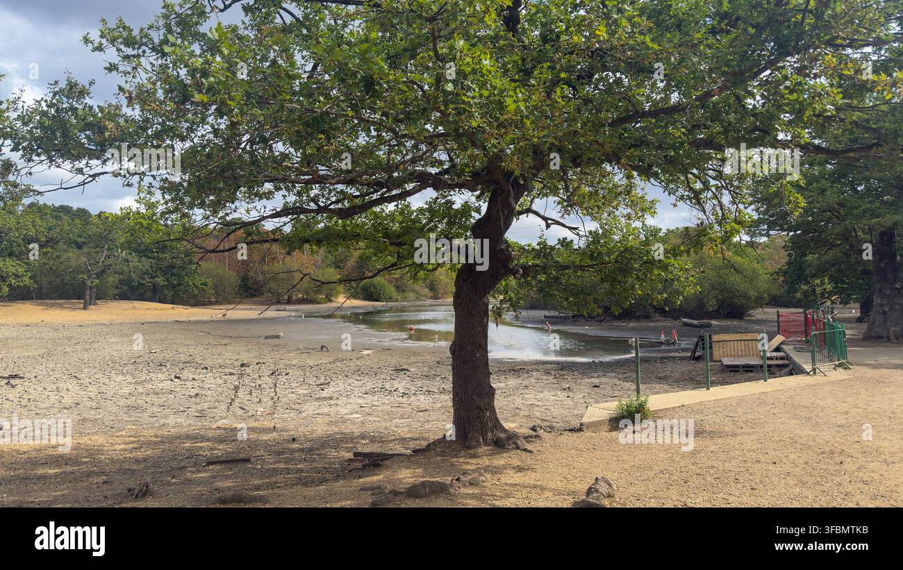 Hollow Ponds, Leyton Flats, Walthamstow, liegt nach einer Sommerhitzewelle fast trocken und verhindert die Nutzung des beliebten Bootsbereichs. - Smartphone-aufgenommenes Stockfoto