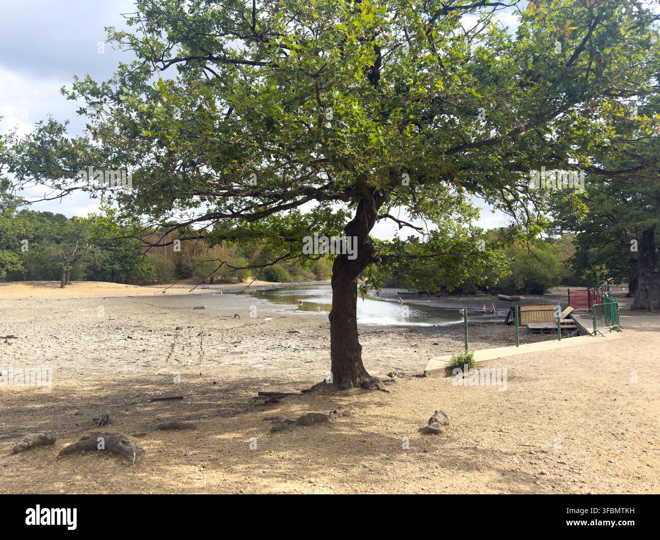 Hollow Ponds, Leyton Flats, Walthamstow, liegt nach einer Sommerhitzewelle fast trocken und verhindert die Nutzung des beliebten Bootsbereichs. - Smartphone-aufgenommenes Stockfoto