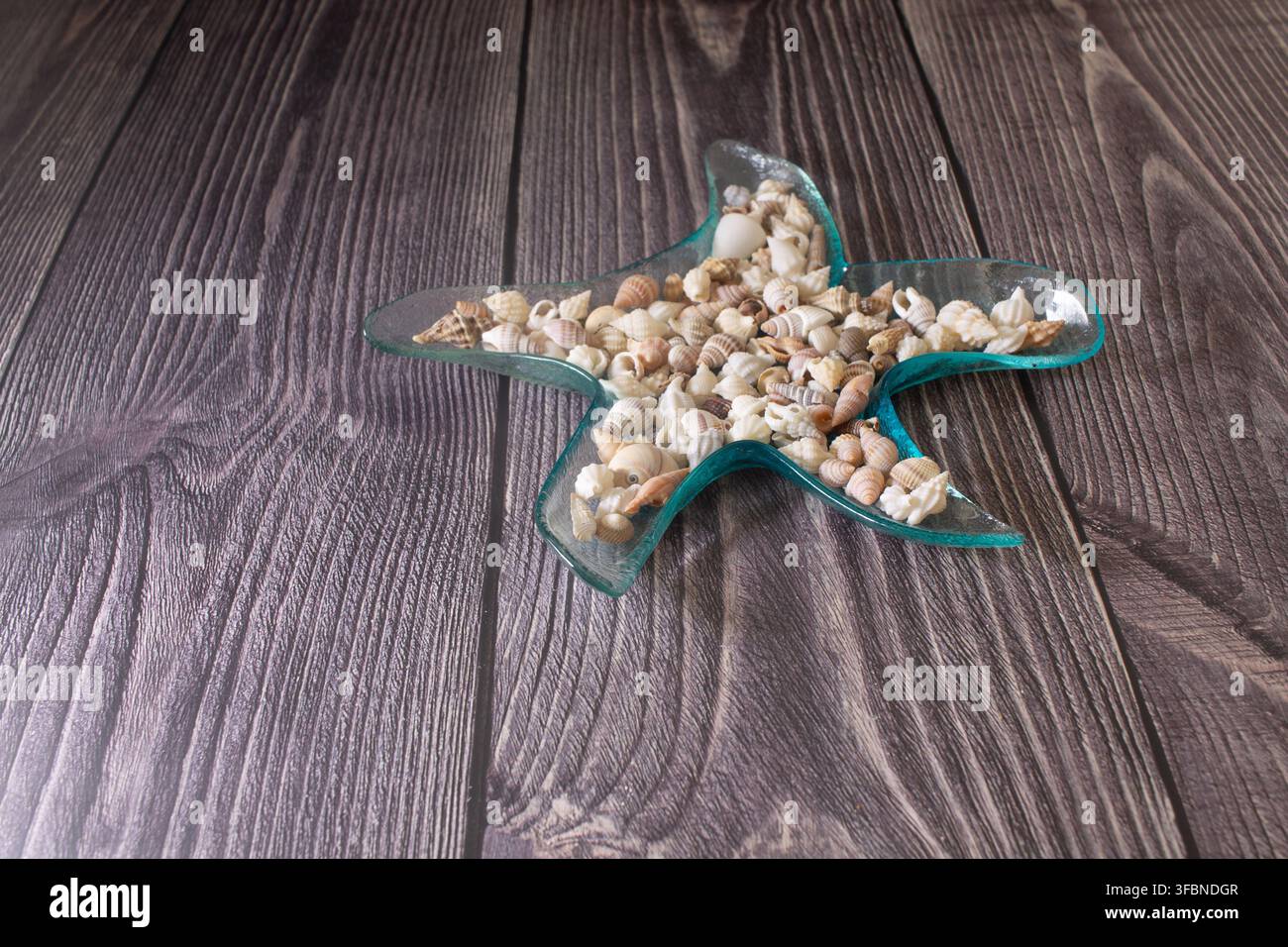 Kleine Muscheln auf einem gläsernen Seesternteller Stockfoto