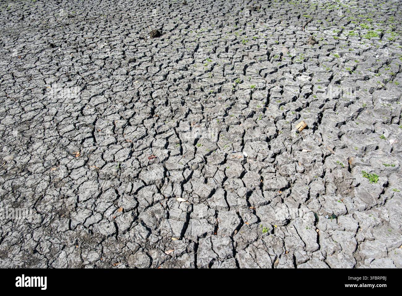 Gerissenes, trockenes Bett des Dorfteichs aufgrund der intensiven Hitze der Sommerhitzewelle 2026 in London und Südostengland. Stockfoto
