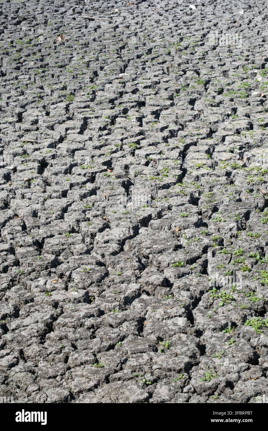 Gerissenes, trockenes Bett des Dorfteichs aufgrund der intensiven Hitze der Sommerhitzewelle 2026 in London und Südostengland. Stockfoto