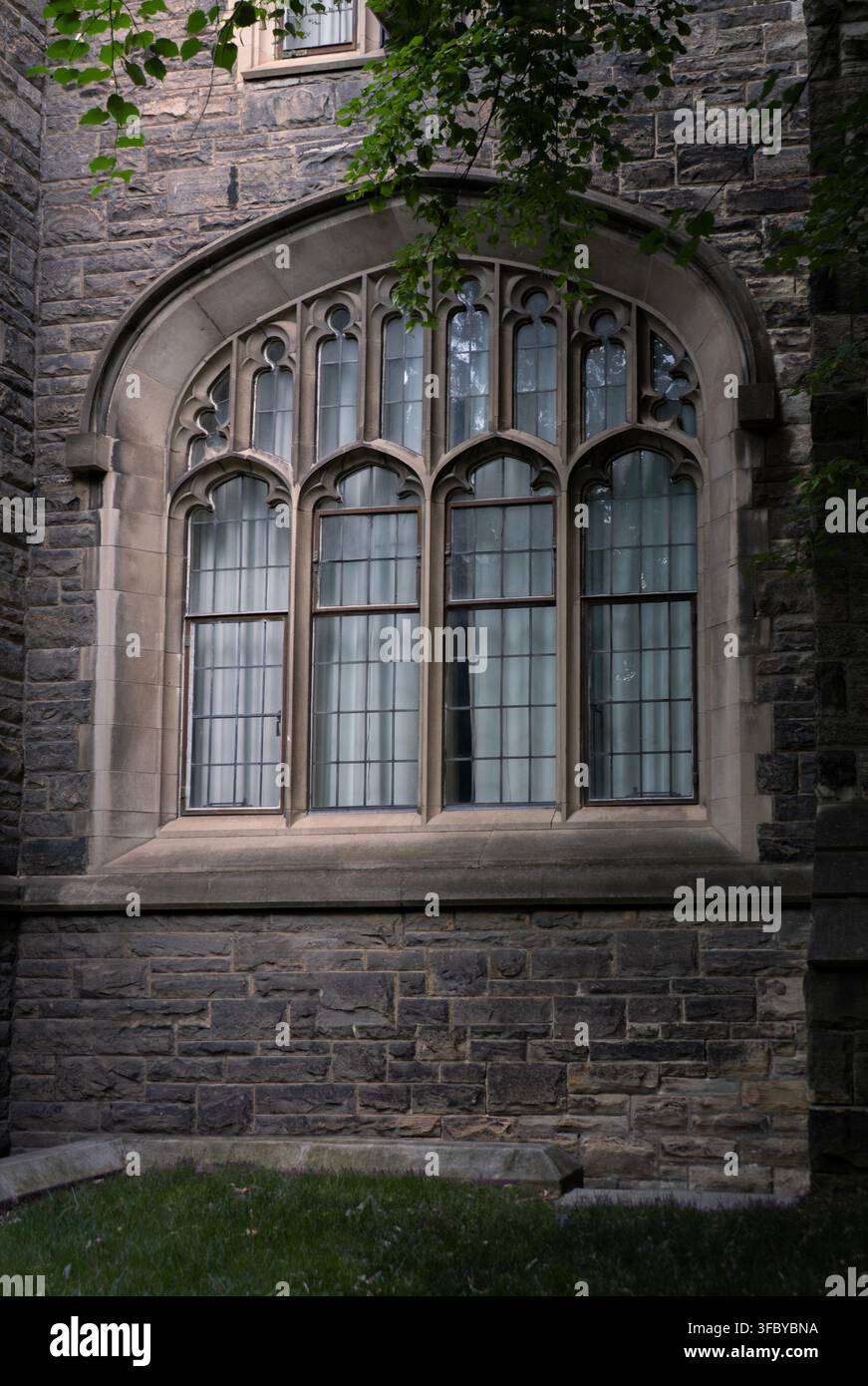 Augenhöhe-Blick auf ein kunstvolles gotisches Fenster mit Steinmaßwerk und Bleiglasfenstern, das in eine strukturierte Steinmauer gesetzt ist, umrahmt von grünen Sommerblättern Stockfoto