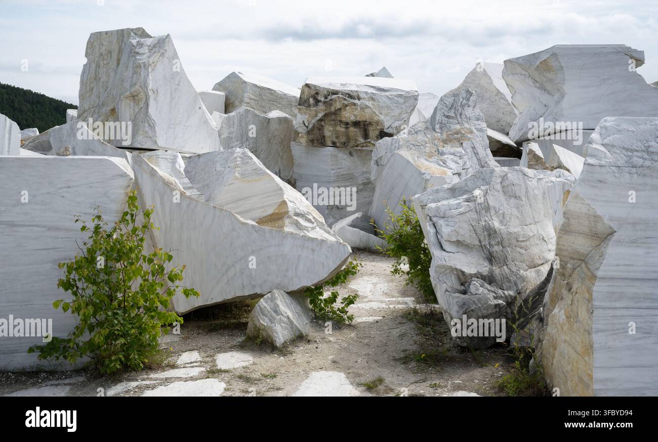Große rohe weiße Marmorblöcke in einem Steinbruch. Raue, unpolierte Steinanhäufung mit grünen Pflanzen, die zwischen den Felsen wachsen. Industrielle Bergbaulandschaft unter über Stockfoto