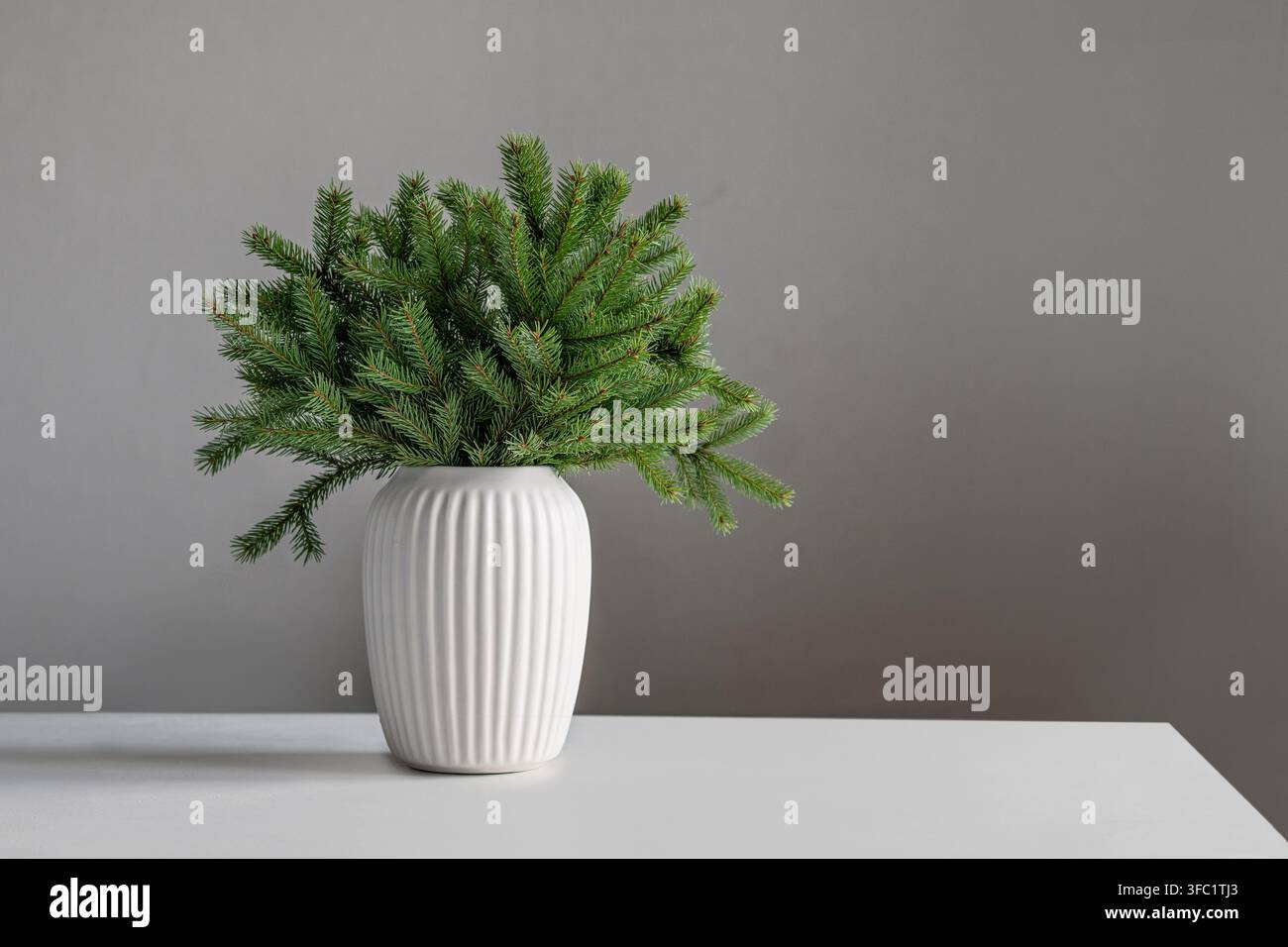 Frische immergrüne Tannenwedel in einer weißen Keramikvase auf dem Tisch vor grauem Hintergrund arrangiert. Minimales natürliches Winterdekor mit großem Kopierraum. Stockfoto
