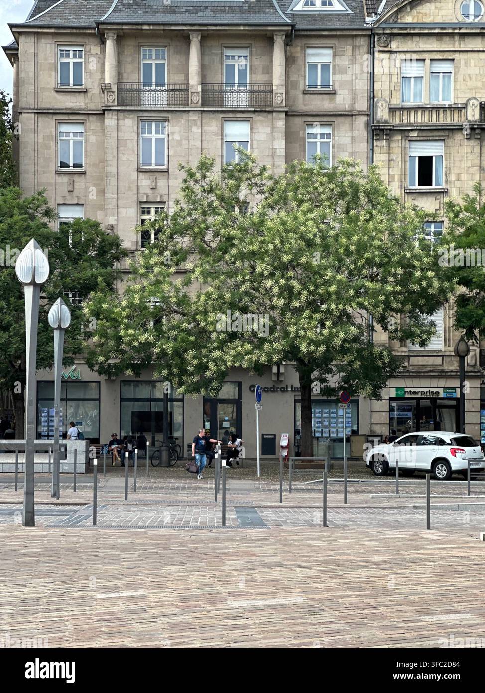 Europäischer Stadtplatz mit historischem Steinbau und blühendem grünen Baum. Bezaubernder europäischer Stadtplatz mit einem majestätischen blühenden Baum, umgeben - Smartphone-aufgenommenes Stockfoto