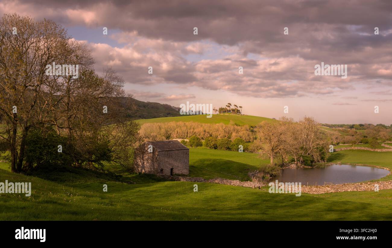 Lady Hill in Wensleydale, Yorkshire Dales, mit einer traditionellen Stein Scheune, die sich in die sanften Hügel schmiegt. Stockfoto
