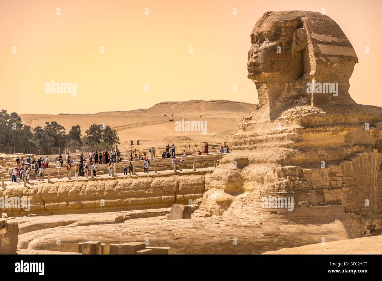 Ägypten, Kairo, Gizeh, Memphis und seine Nekropole, die Gebiete um die Pyramiden von Gizeh und Dahschur, die als UNESCO-Weltkulturerbe gelistet sind, und die Große Sphinx Stockfoto
