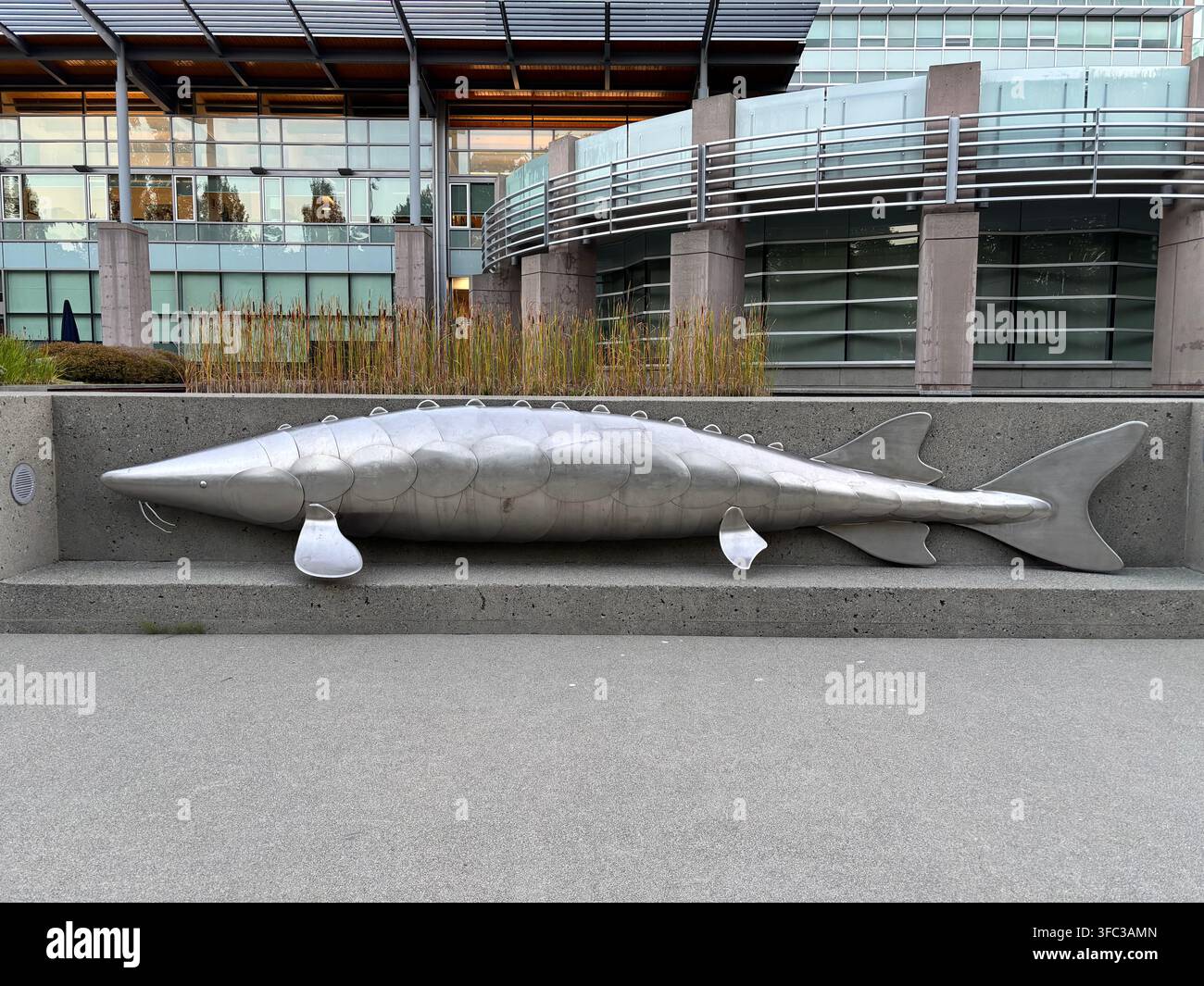 Eine metallene Fischskulptur, die an einer Betonwand vor einem modernen Gebäude montiert ist, mit schlichem Außendesign - Smartphone-aufgenommenes Stockfoto