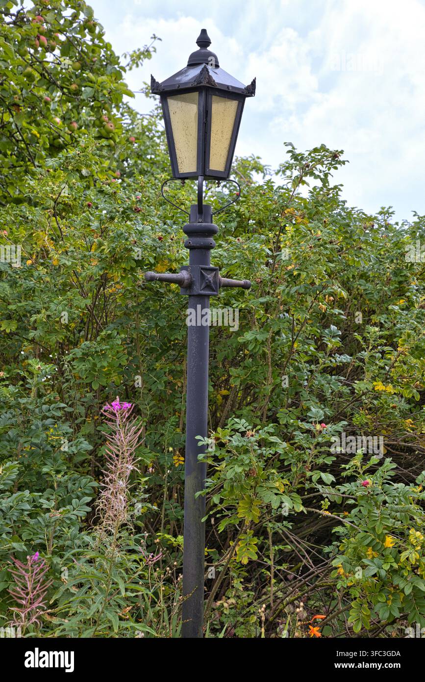 Traditioneller schwarzer schmiedeeiserner Straßenlaternenpfahl steht zwischen üppigen grünen Büschen im Dorf Ainsworth in der Nähe von Bury, UK. Stockfoto