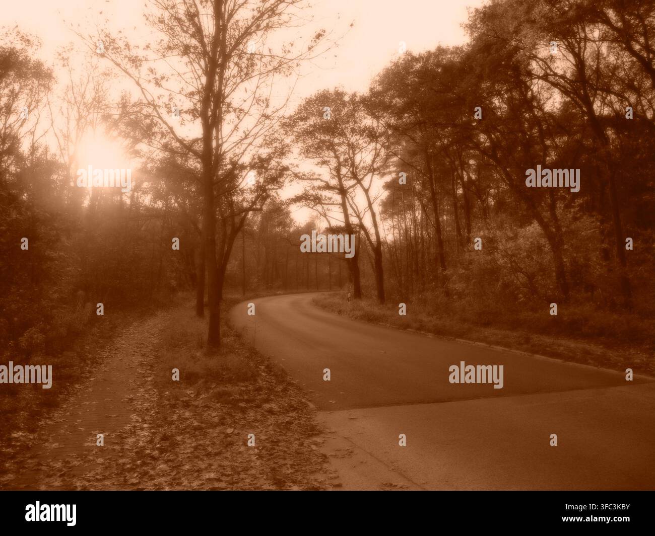 Sepiawaldstraße bei Berlin, Deutschland Stockfoto