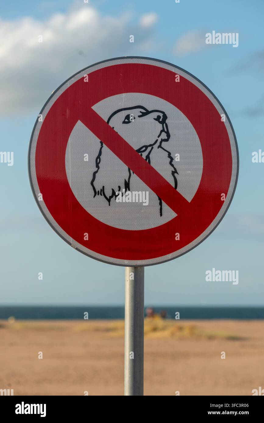 Ouistreham, 20. August 2026: Kein Hund am Strand Schilder Stockfoto