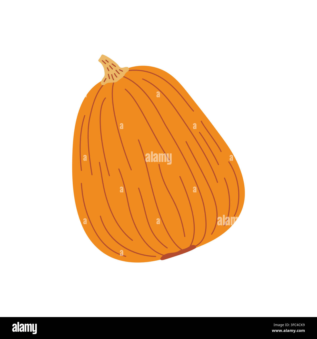 Verlängerte orangefarbene Butternusskürbis frisch vom Ernteland, die gemütliche Herbststimmungen, schmackhafte geröstete Suppen, Thanksgiving-Feier, gesunde Bio-Lebensmittel und lebendige Herbstmarktfarben bringen Stock Vektor