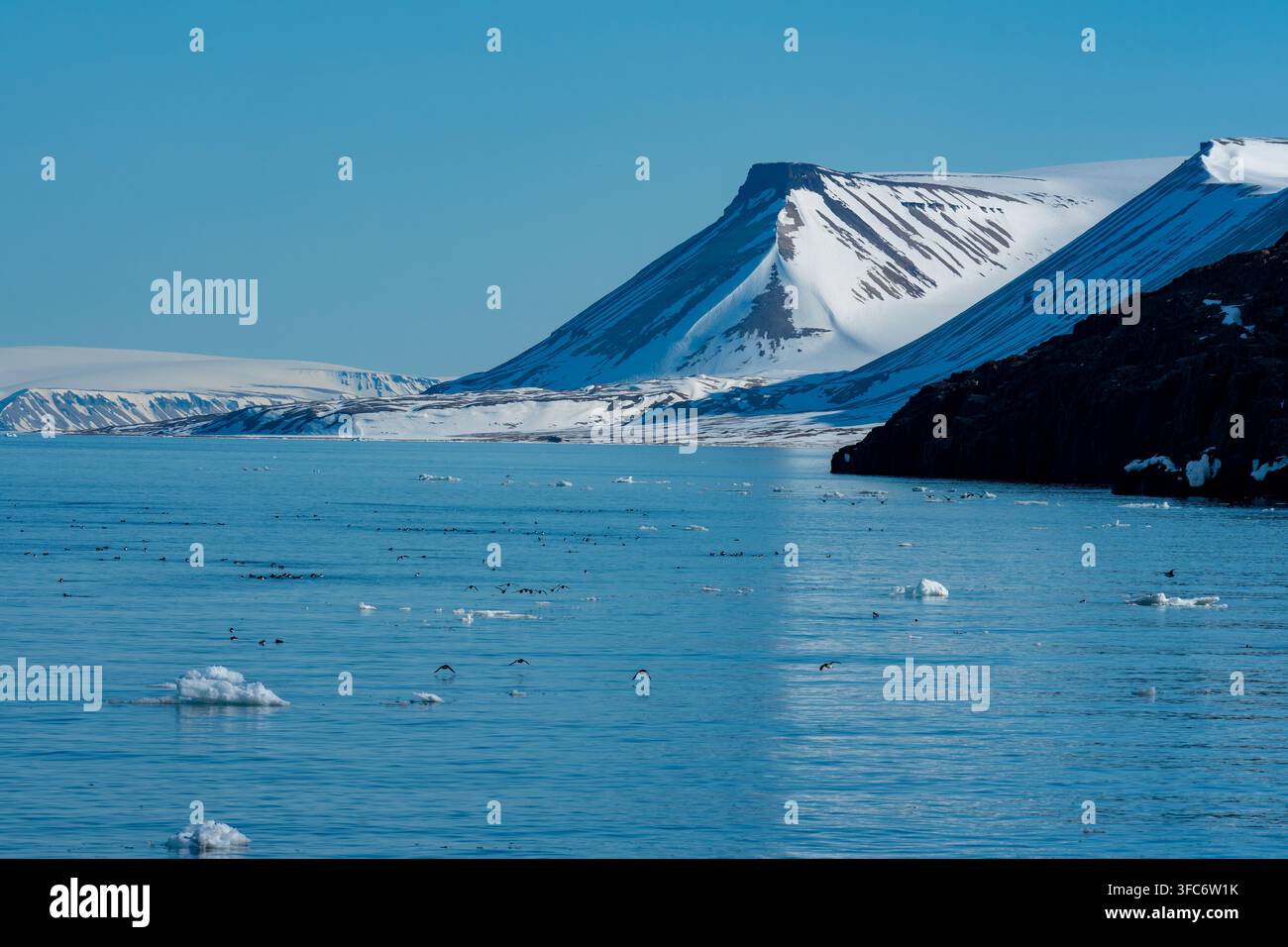 Eisschollen treiben auf kaltem arktischem Wasser unter nebeligen, schneebedeckten Bergen in Svalbard, Norwegen. Stockfoto