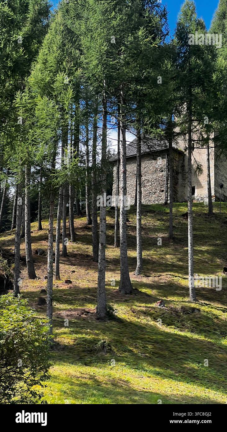 Pittoreske Roadtrip durch die österreichischen Alpen, mit Bergstraßen, Wäldern, Tälern und wunderschönen Naturlandschaften in Österreich. - Smartphone-aufgenommenes Stockfoto