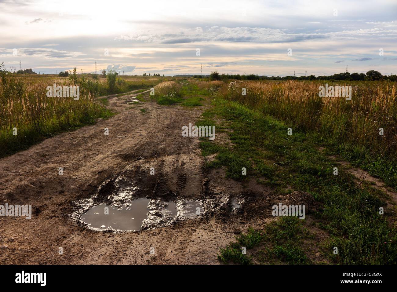 Schlammiger Feldweg, der sich durch ein goldenes Sommerfeld schlängelt, mit einer großen stehenden Pfütze, die den Sonnenuntergangshimmel in einer weiten landschaftlichen Landschaft widerspiegelt Stockfoto