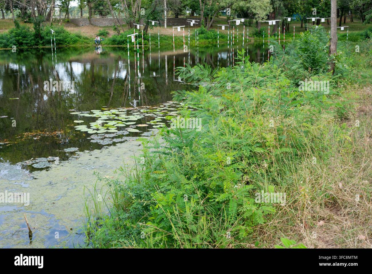 Üppige grüne Büsche und wildes Gras, die an einem Flussufer wachsen, mit einer Kajak-Slalom-Trainingsstrecke im Hintergrund. Weite Außenansicht eines ruhigen Sees surfa Stockfoto