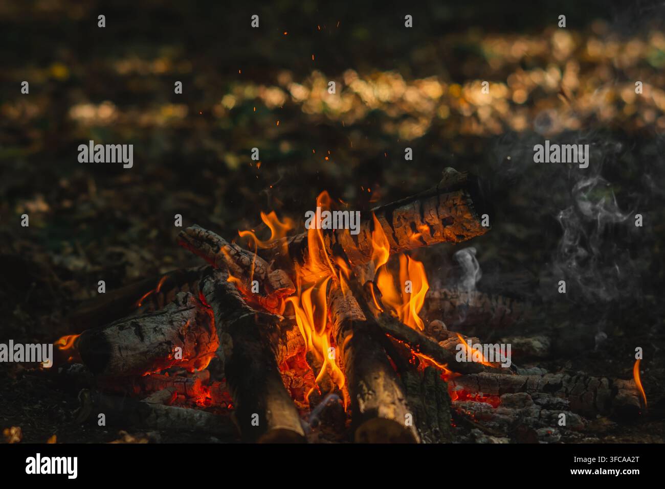 Helle Flammen eines Lagerfeuers, das nachts in einem Wald brennt, Camping, Outdoor-Freizeit und Abenteuerkonzept. Stockfoto