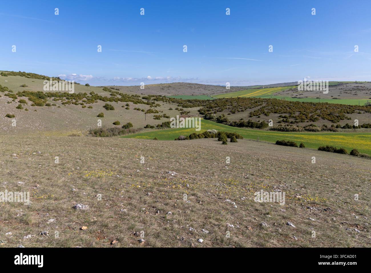 Malereisches Tal mit Wildblumenwiesen auf dem Larzac-Plateau, Aveyron, Süd-Frankreich Stockfoto