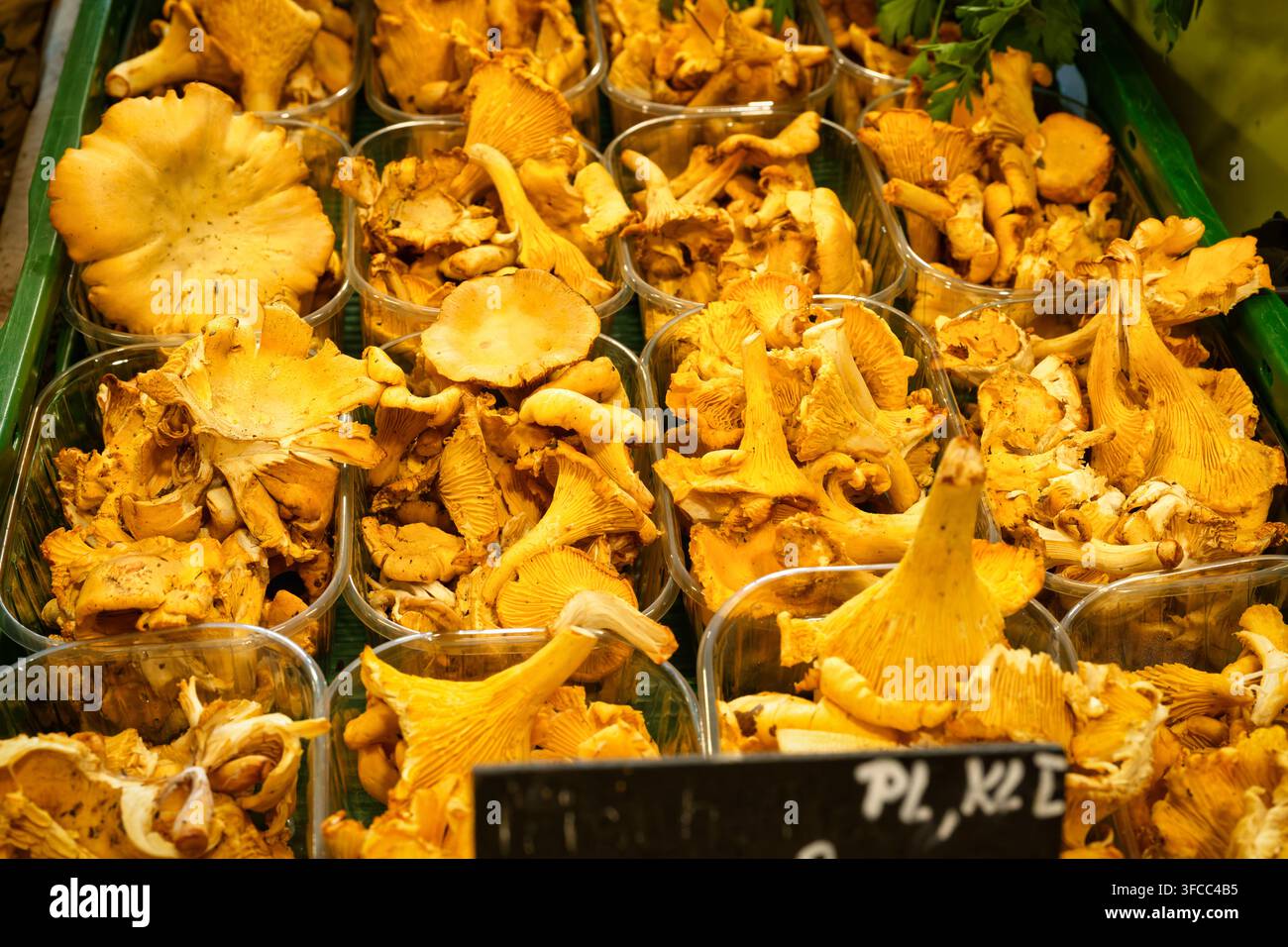 Frische goldene Pfifferlinge in Plastikschalen auf einem Marktstand ausgestellt. Konzept für rohe Bio-Wildpilze. Stockfoto