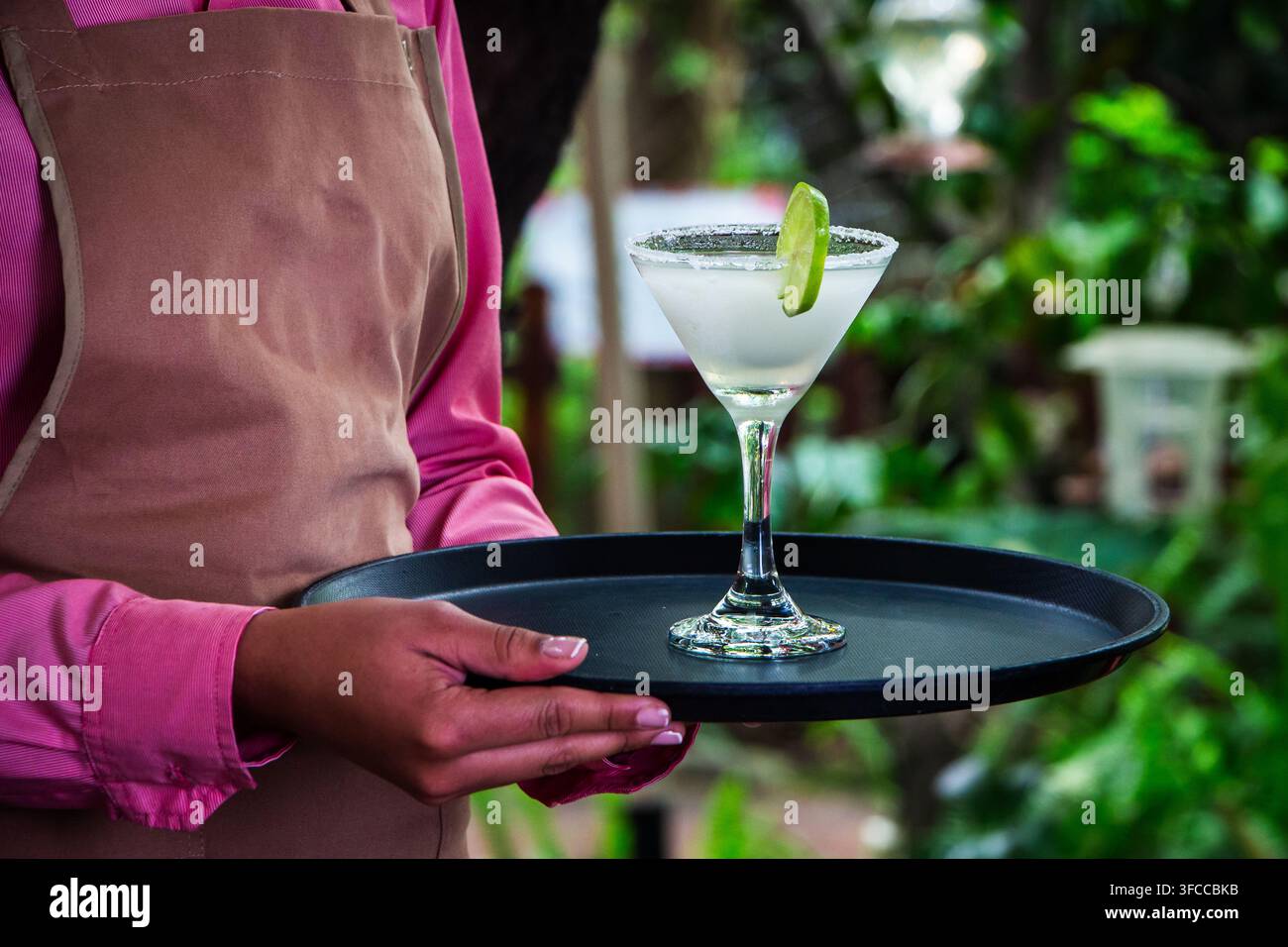 Nahaufnahme eines Kellners, der einen gekühlten Limetten-Cocktail in einem Stielglas mit gesalzenem Rand und Limetten-Garnitur trägt. Die Szene fängt den Getränkeservice in einem Stockfoto