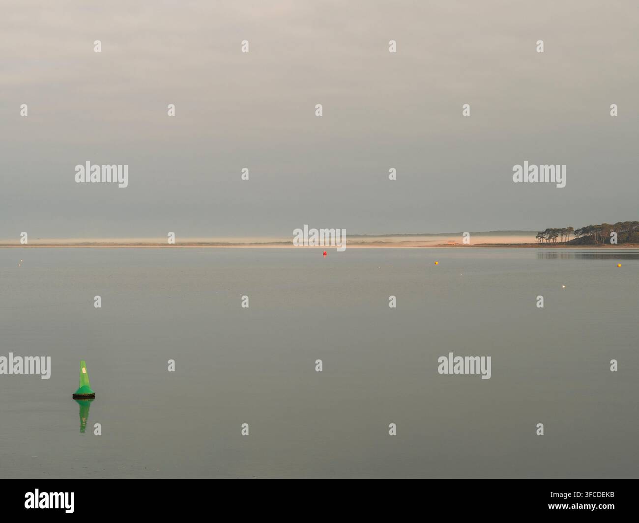 Ruhiges Meer und Morgennebel, Anglesea, Wälder und Strand, Nordwales, UK, GB. Stockfoto