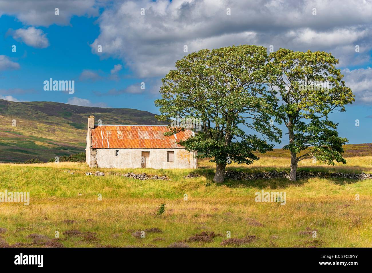 Verlassenes Croft-Haus Sutherland Schottland Spätsommerszene mit zwei großen Bäumen Stockfoto