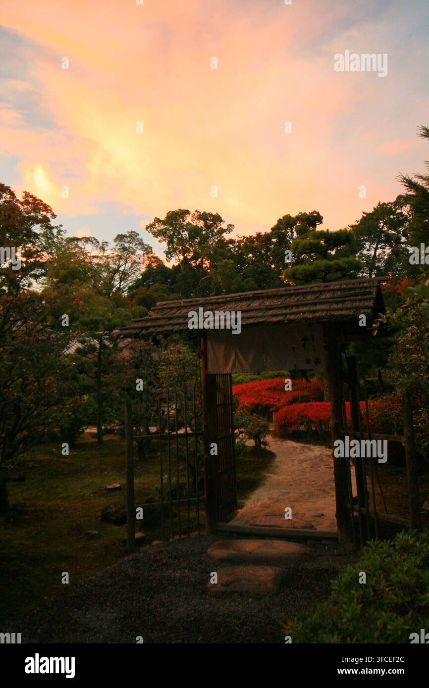 Traditioneller japanischer Garten mit Holztor und Herbstlaub während des Sonnenuntergangs Stockfoto