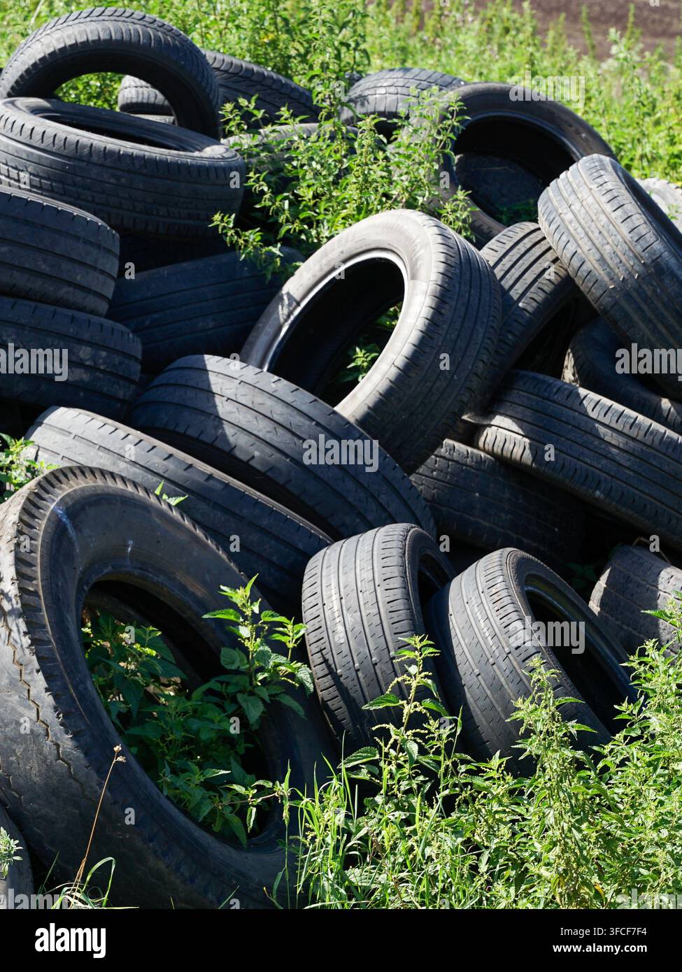 Illegale Deponie für gebrauchte Autoreifen in der Natur, Nahaufnahme Stockfoto