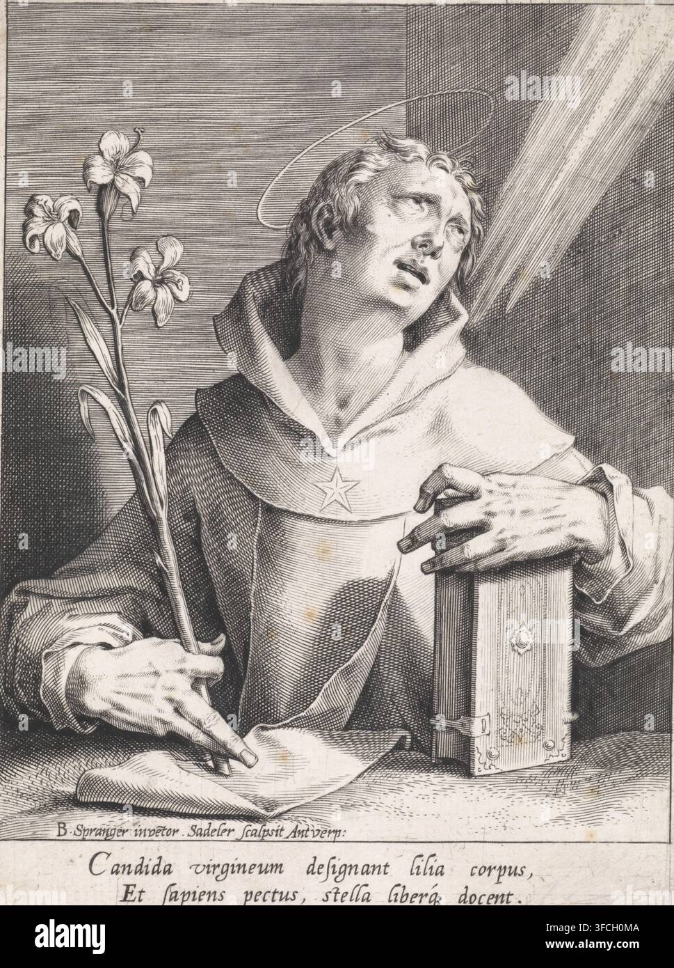 Heiliger Dominik (Version 1), Druck, Heiliger Dominik, eine Lilie und eine Bibel in den Händen, Drucker: Johann Sadeler (I), Antwerpen, nach Zeichnung von Bartholomeus Spranger, 1580 - 1584, Papier, Radierung, Höhe 147 mm x Breite 107 mm, Pendant von Heiligem Franziskus (Version 2), Dominik(us) Guzman von Calerueja, Gründer des Predigerordens (oder der Dominikaner (Schwarzen) Mönche, mögliche Attribute: Buch, Hund mit brennender Fackel, Lilie, Brotlaib, Rosenkranz, Stern., Eine monochromatische Radierung zeigt eine bekleidete Figur mit einem Heiligenschein um den Kopf, die nach oben blickt mit offenem Mund und einem ausdrucksstarken Gesicht. Die Figur trägt eine Kapuze Stockfoto