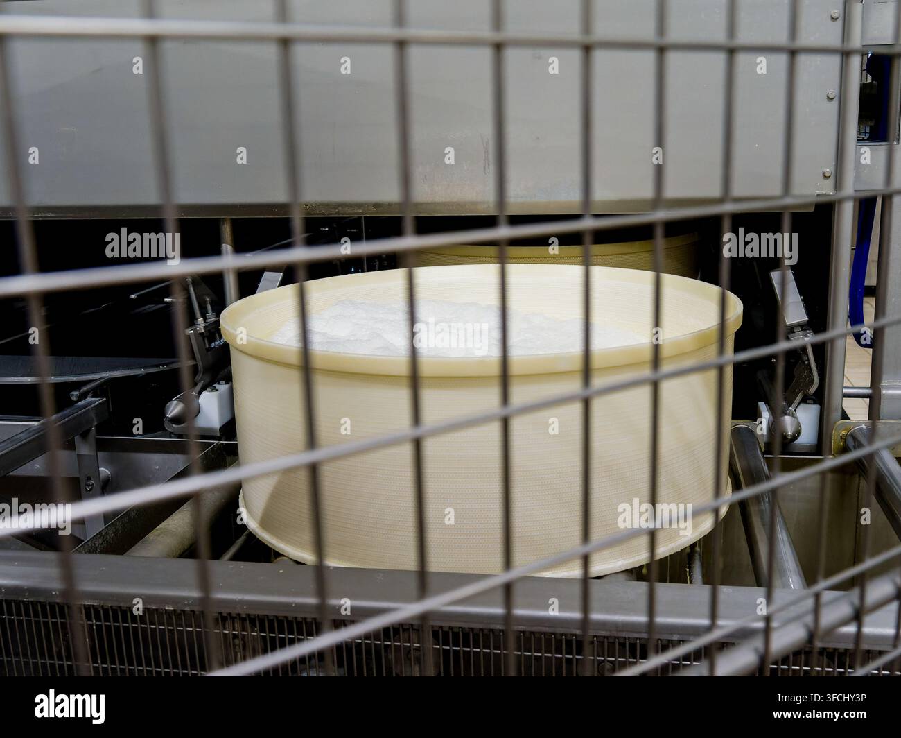 Großes Rad Comté-Käse im Käsemachprozess bei Fruitière du Pays Grandvallier, Saint-Laurent-en-Grandvaux. Stockfoto