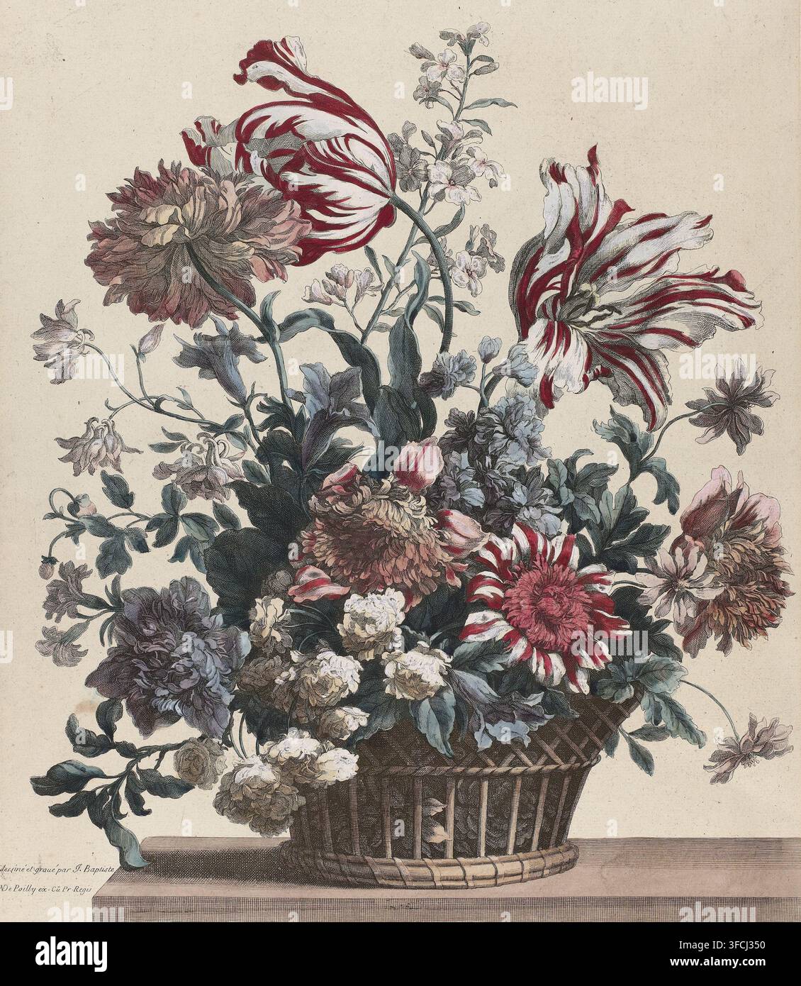 Korb mit Blumen, Druck, Drucker: Jean Baptiste Monnoyer, Verleger: Nicolas de Poilly (I), Paris, Privilegiengeber: Französische Krone, Frankreich, 1646 - 1699, Papier, Radierung, Stich, Handkolorierung, Radierung und Stich, handkoloriert in Rot, Blau und Gelb, Höhe 537 mm x Breite 438 mm, Schnittblumen, Blumenstrauß, Blumenbündel, Stillleben von Pflanzen, Blumen und Früchten., Ein detailliertes Arrangement von Blumen in einem geflochtenen Korb, der auf einer Holzoberfläche steht, mit großen gestreiften Blüten in Rot und Weiß, gerüschten Blüten in Rosa- und Lila-Tönen, Büscheln kleiner blasser Blumen und reichlich Stockfoto